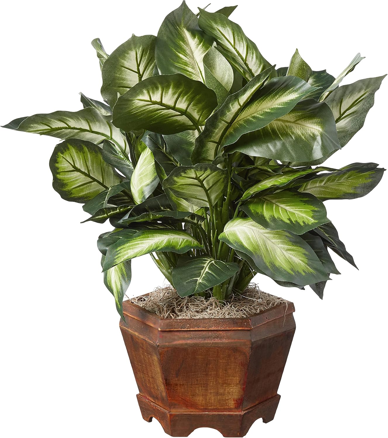 Artificial Dieffenbachia Plant with Decorative Wooden Planter - Image 4