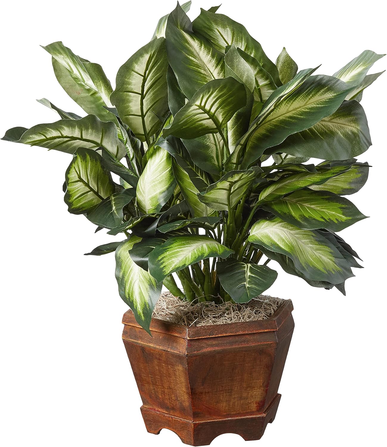 Artificial Dieffenbachia Plant with Decorative Wooden Planter