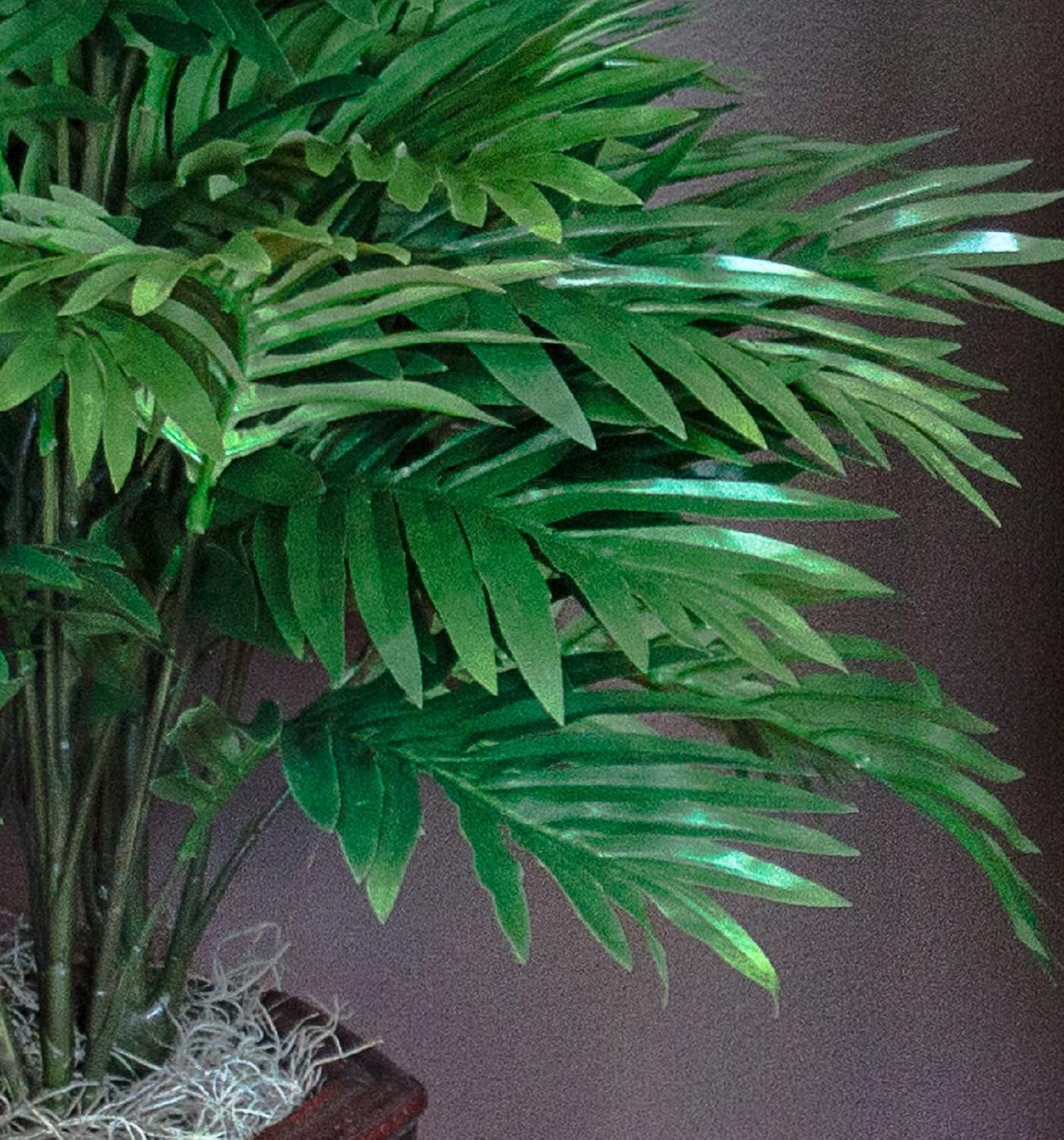 Nearly Natural Areca Palm With Vase Silk Plant, 38″ X 27″ X 25″ Product - Image 4